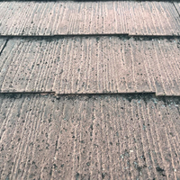 画像1061