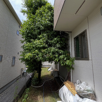 画像1360