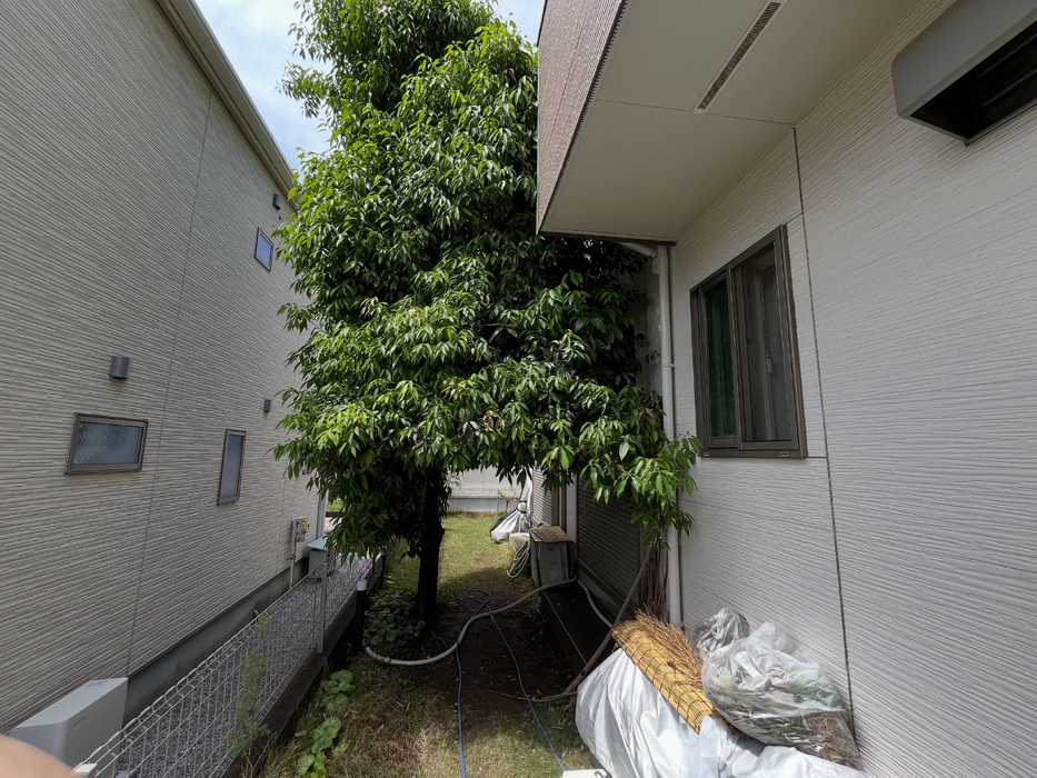 画像1360