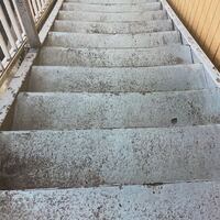 画像303