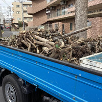 画像795