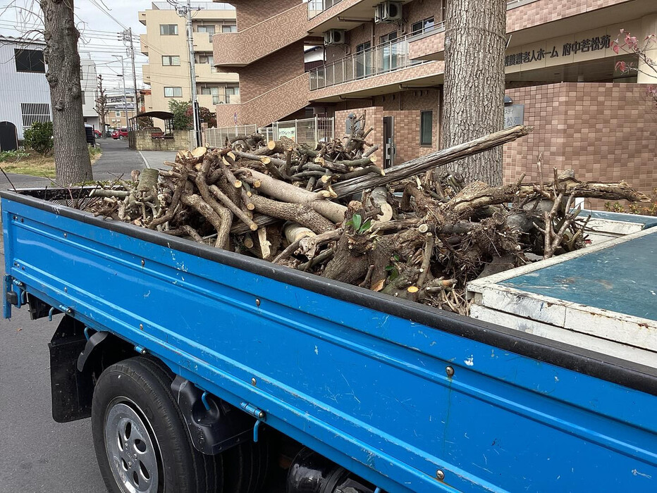 画像795