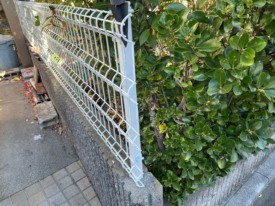 画像831