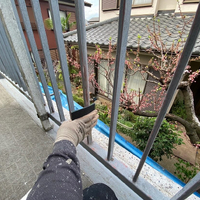 画像906
