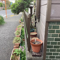 画像944