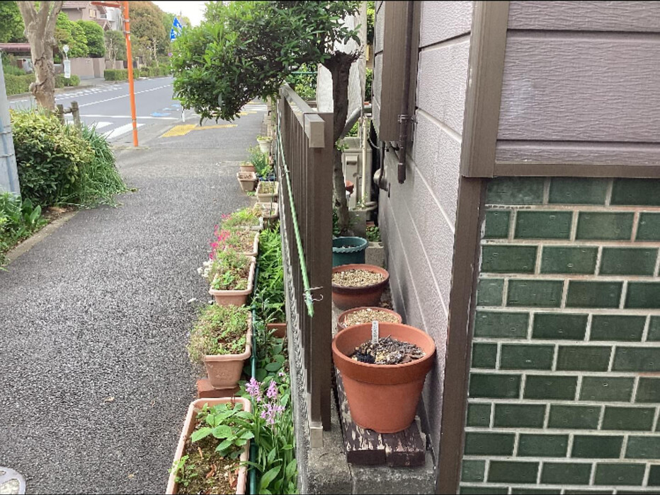 画像944